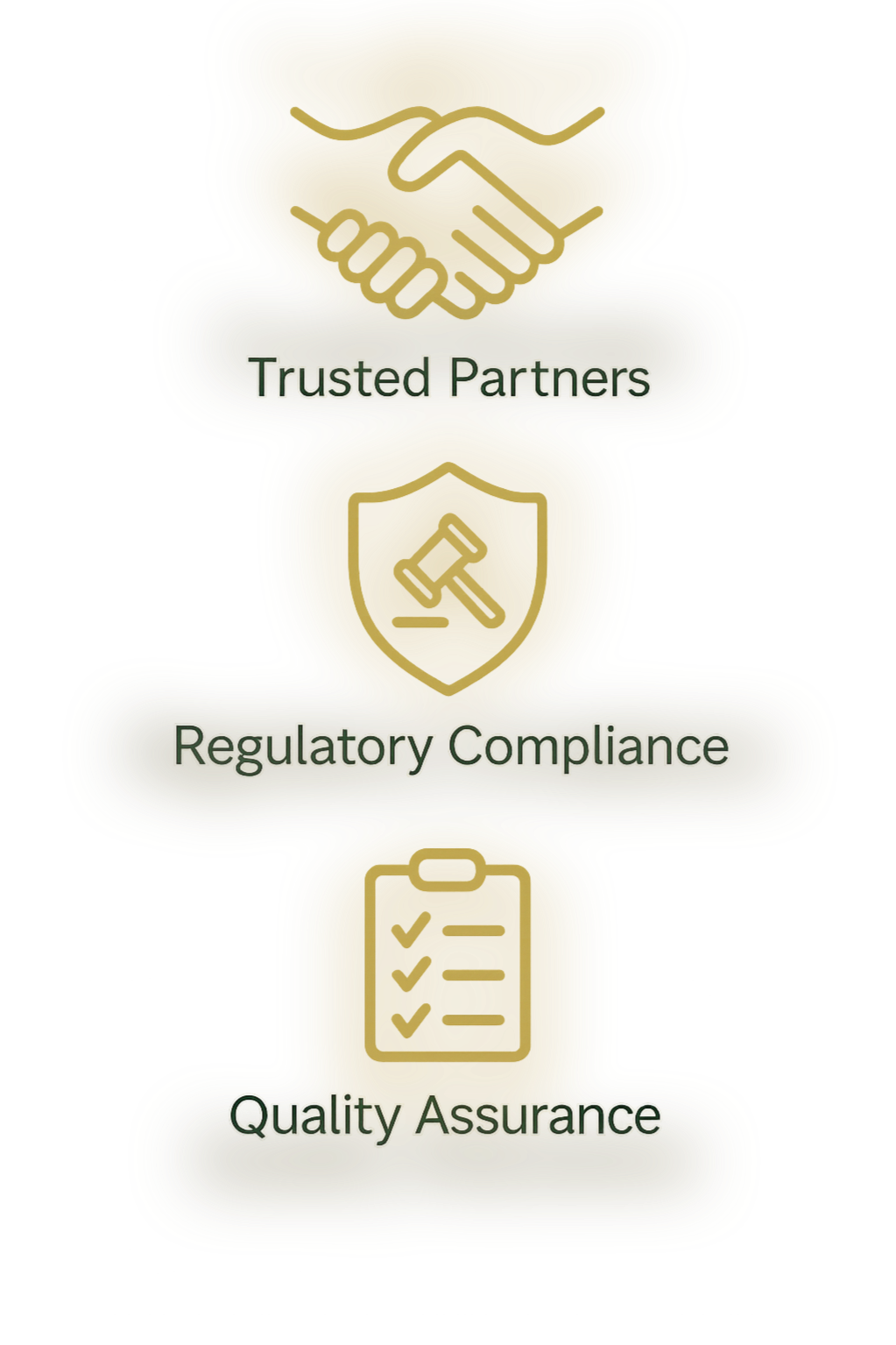 Venus Consulting